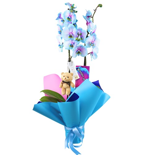 Orkide kategori ikonu